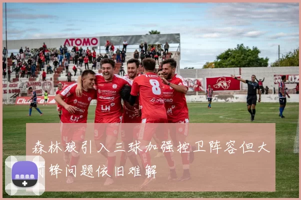 森林狼引入三球加强控卫阵容但大前锋问题依旧难解