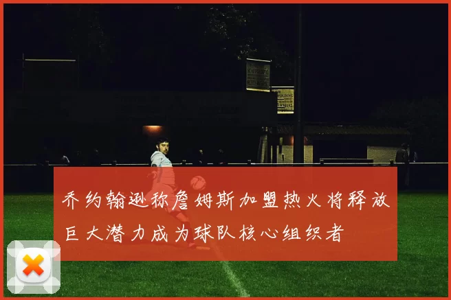 乔约翰逊称詹姆斯加盟热火将释放巨大潜力成为球队核心组织者