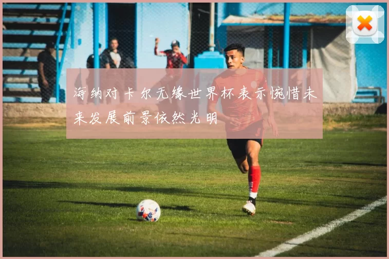 海纳对卡尔无缘世界杯表示惋惜未来发展前景依然光明